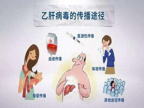乙肝病毒傳播途徑是什么？