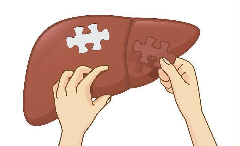 乙肝病毒感染為什么很難徹底治愈？