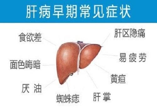乙肝患者如何保??？